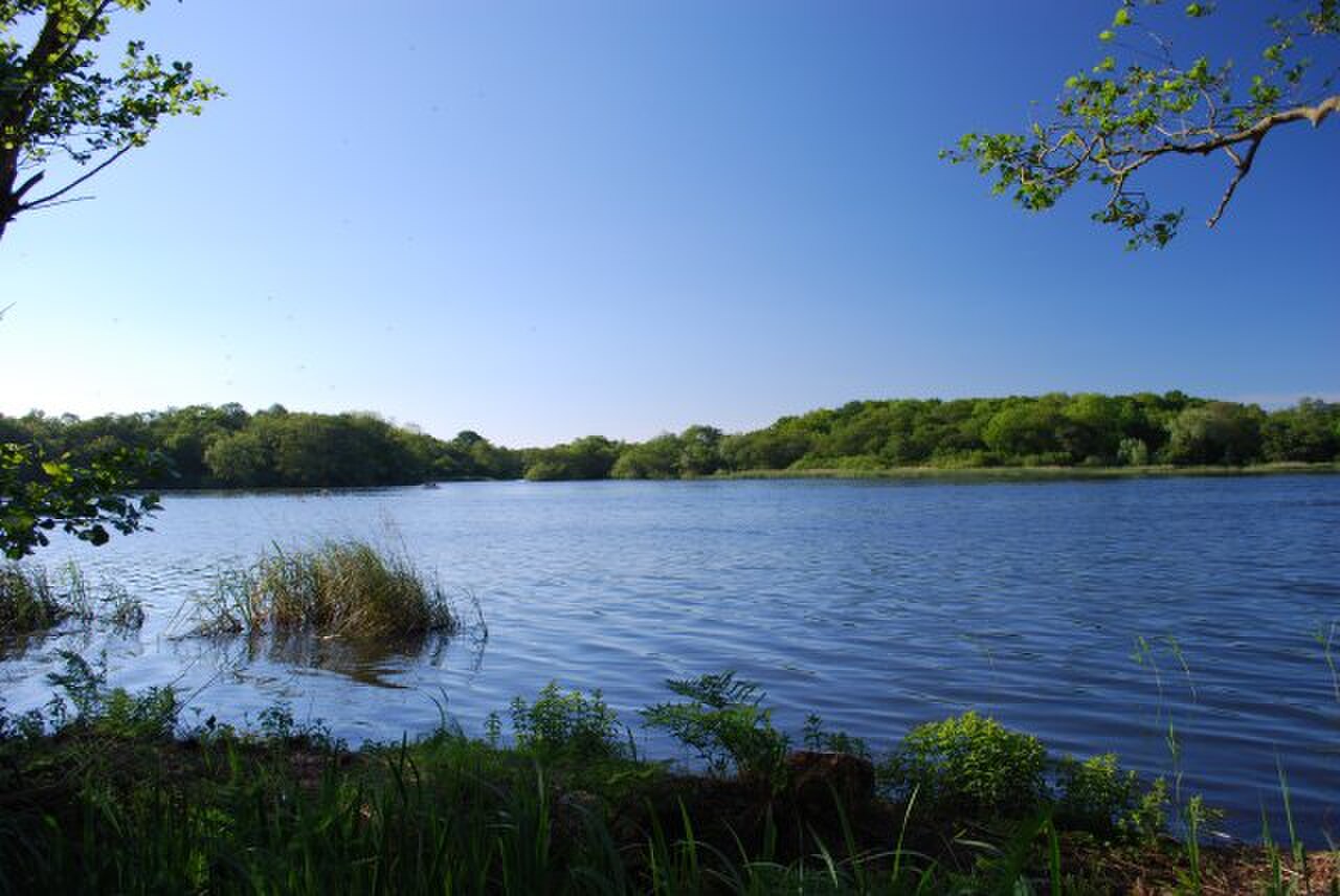 Norfolk Broads