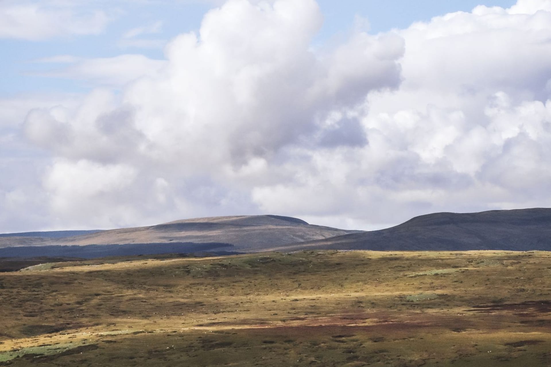 UK Tours & Day Trips Cardiff