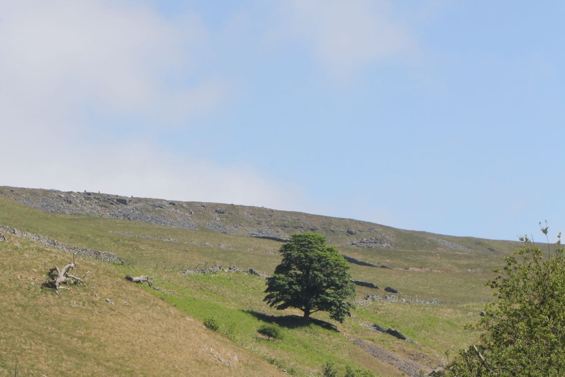 UK Tours & Day Trips Leeds