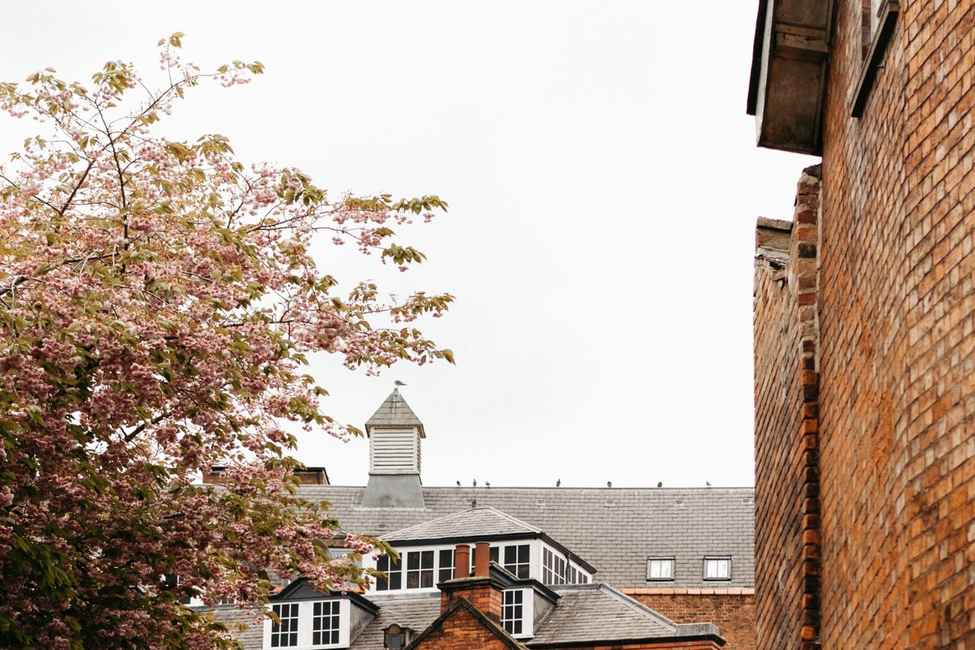UK Tours & Day Trips Liverpool
