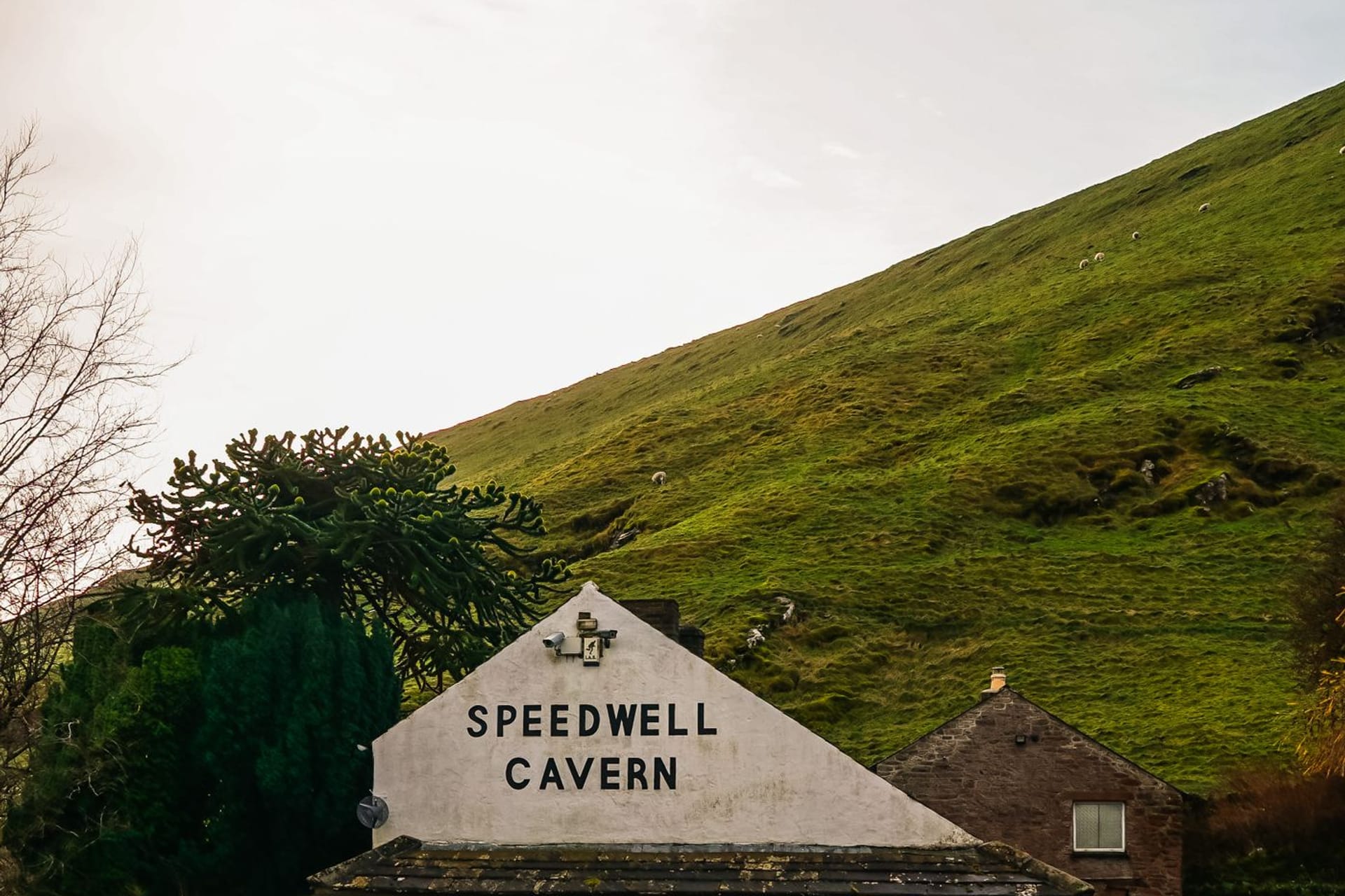 UK Tours & Day Trips Sheffield