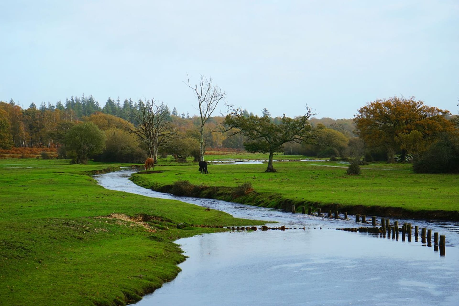 UK Tours & Day Trips Southampton