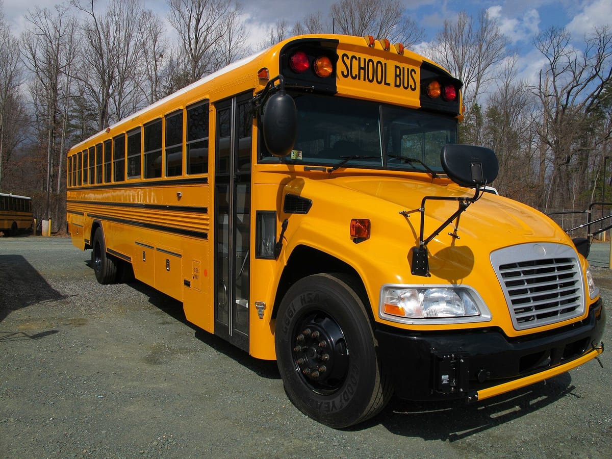 SCHOOL BUS